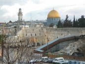 Анна Урусова фотография #18 (источник - https://vk.com/id722941)