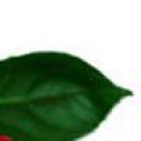 Кірюша Бурл фотография #17 (источник - https://vk.com/id137988757)