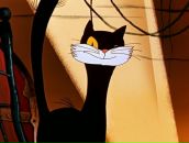 Фотография Робовой Ирины