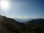 Marlon Al-Maida фотография #28 (источник - https://vk.com/id3142368)