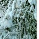 Виктор Билецкий фотография #30 (источник - https://vk.com/id24891151)