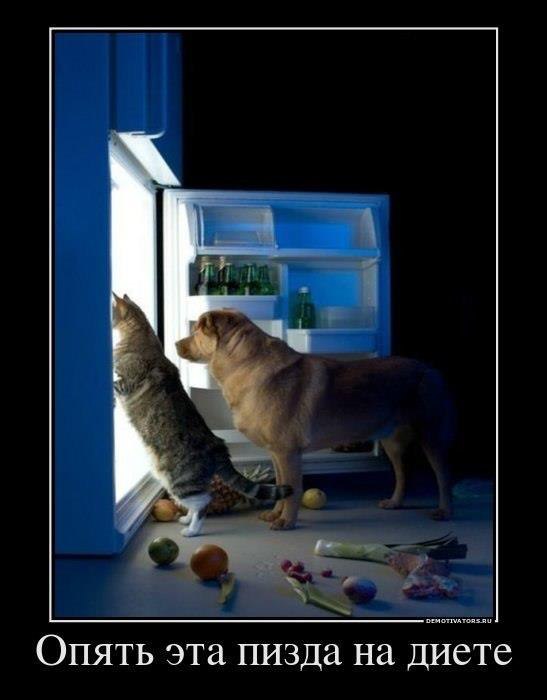 Max Power фотография #47