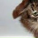 Лєна Ляшкевич фотография #34 (источник - https://vk.com/id57337092)