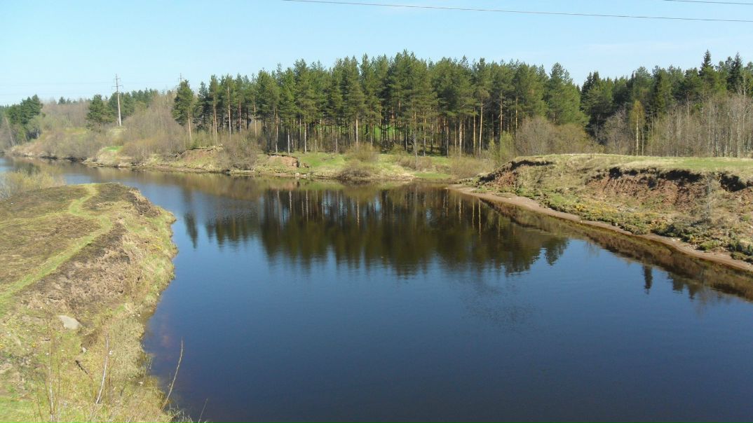  фото №31