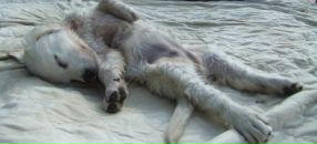 Фотография Евдокимовой Елены