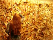 Фотография Марьиной Ирины