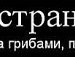 Вероніка Копил фотография #35 (источник - https://vk.com/id144902819)