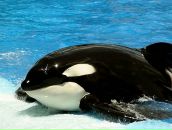 Фотография Загоруйко Катюши