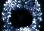 Фотография Андреева Александра