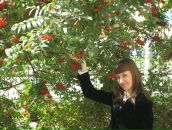 Фотография Новостройки Недвижимости