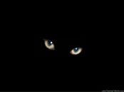 Фотография Худяковой Юлии