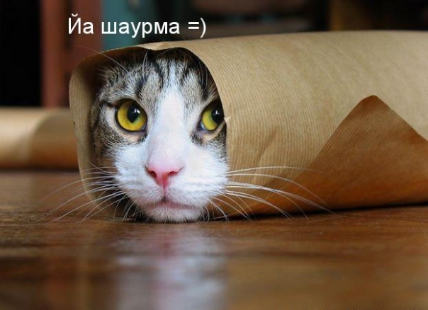 Иван Иванов фото №1