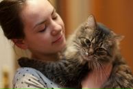 Фотография Лютый Кодьяк