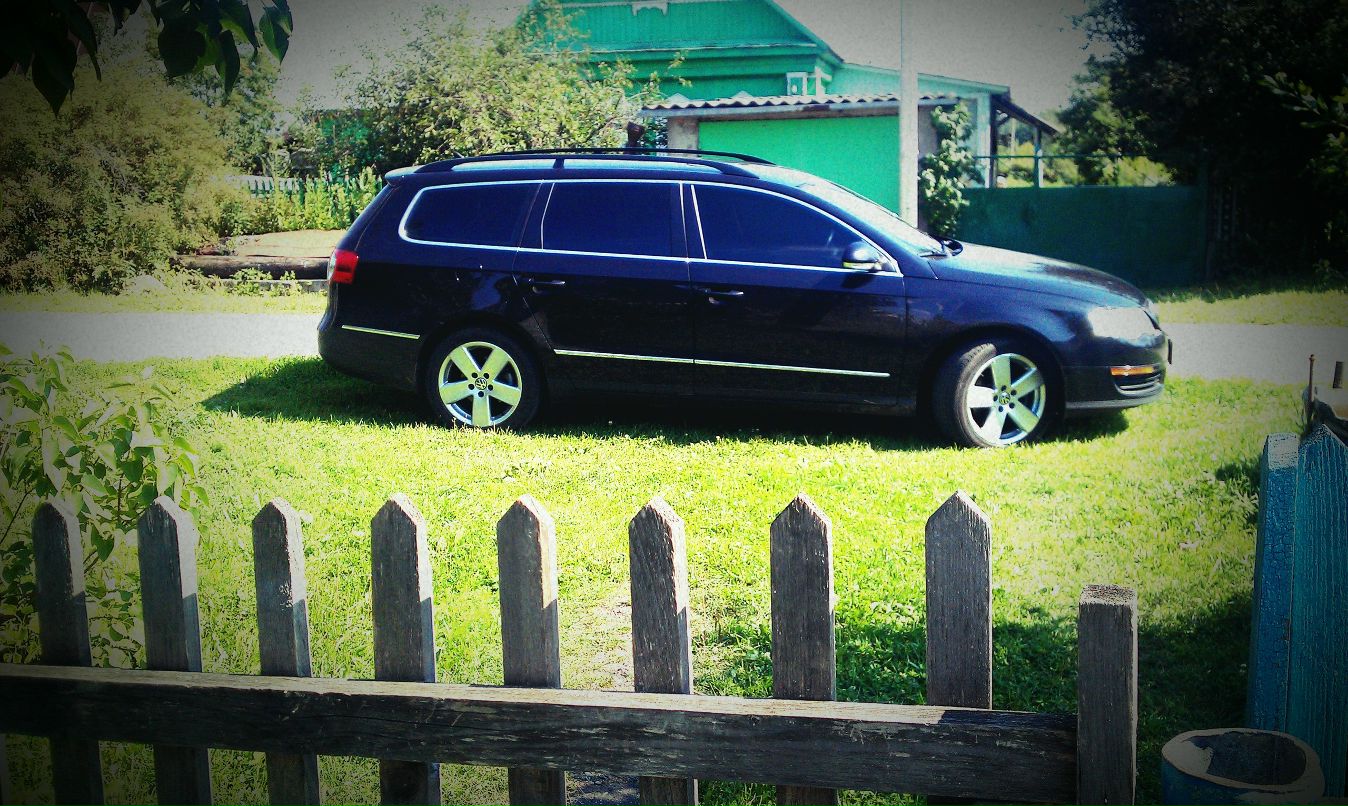 Tim Nv фотография #41