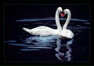 Фотография Лапиной Людмилы