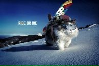 Фотография Долгова Николая