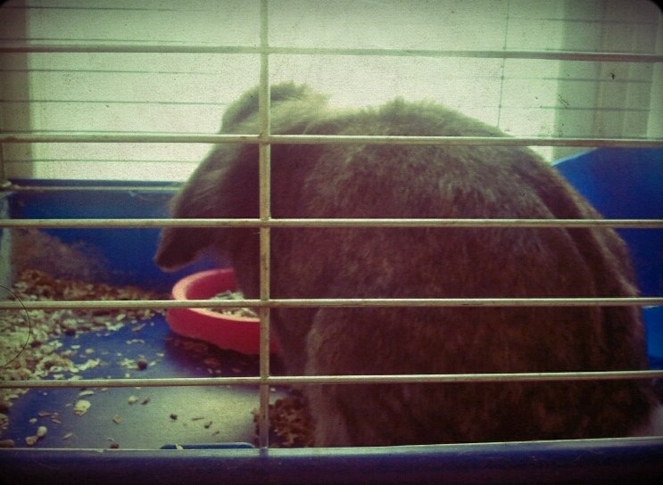 Александр Самсонов фотография #38