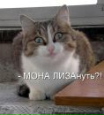 Максим Вітковський фотография #16 (источник - https://vk.com/id54089194)