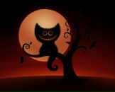 Фотография Анисимова Евгения