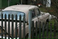 Никита Кобелев фотография #48 (источник - https://vk.com/id2127952)