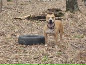 Фотография Словетского Валика