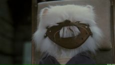 Сергей Афенкин фотография #13 (источник - https://vk.com/id3584192)