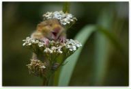 Юлия Витлина фотография #24 (источник - https://vk.com/id1576428)