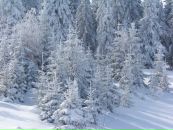 Наталія Ворко фотография #25 (источник - https://vk.com/id128532404)