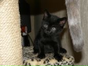 Фотография Киянской Елены