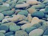 Вікуся Бродовська фотография #31 (источник - https://vk.com/id159381109)