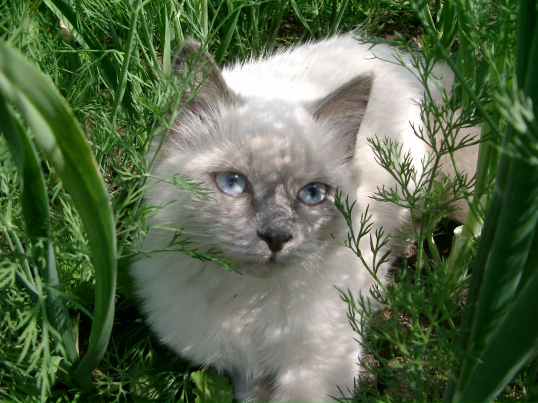 Эля Остапенко фотография #48