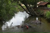 Даша Дашина фотография #31 (источник - https://vk.com/id2891457)