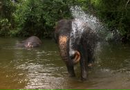 Даша Дашина фотография #27 (источник - https://vk.com/id2891457)