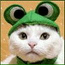 Фотография Друговского Алексея