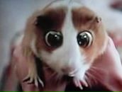 Фотография Яковлева Юрлэнда