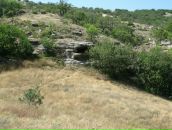 Пабло Пых фотография #48 (источник - https://vk.com/id1205765)