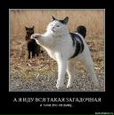 Іра Бучаневич фотография #15 (источник - https://vk.com/id93478684)