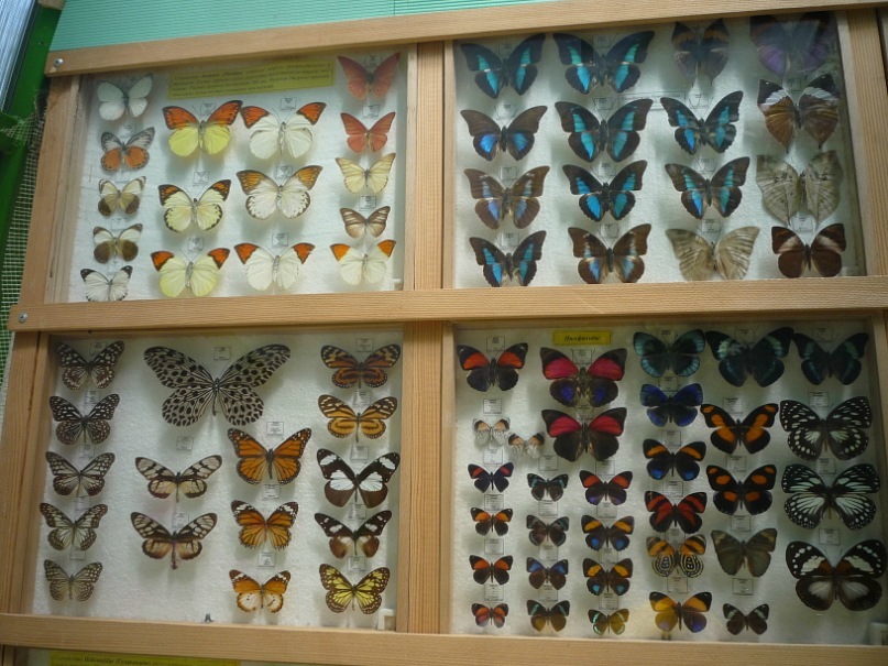 Катерина Латнер фотография #14