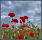 Фотография Яшковой Дарьи