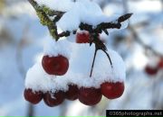 Андрій Вишня фотография #31 (источник - https://vk.com/id11832398)