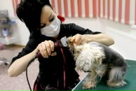 Фотография Рауне Альмы