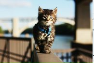 Фотография Головизниной Анны