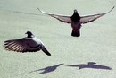Фотография Маша Ноздрина