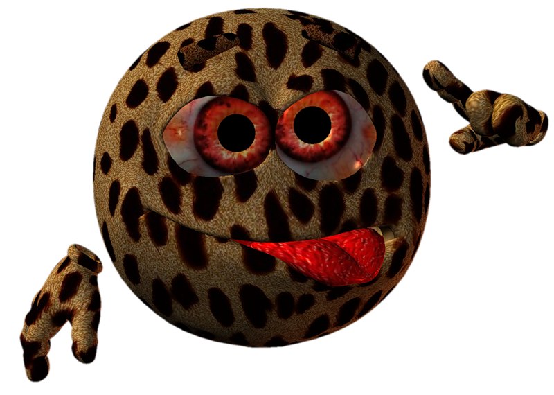 Dancer Dancer фотография #36