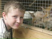 Фотография Zenkova Olga