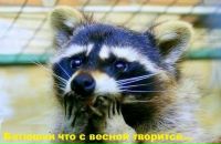 Фотография Быдина Сергея