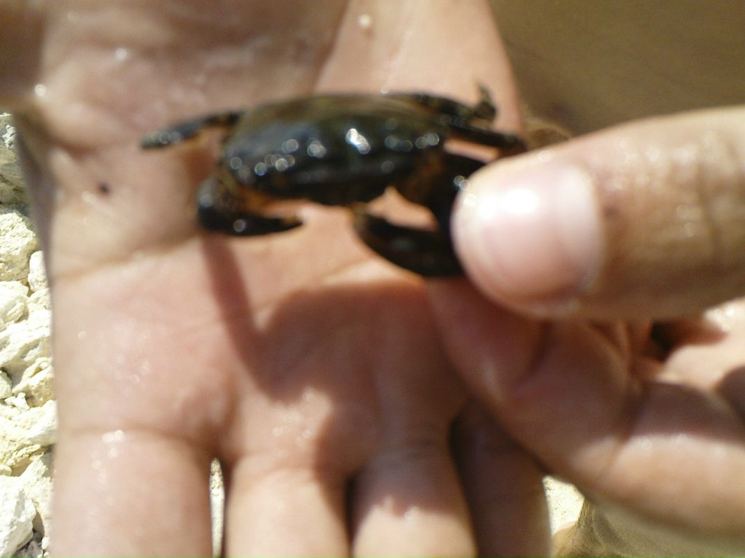 Макс Лунин фотография #29