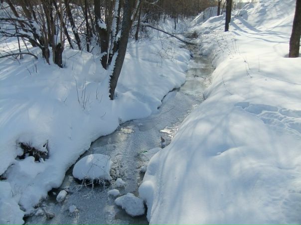 Veronica Yan фото №45