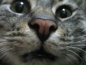 Фотография Злаябиологичка Ксения