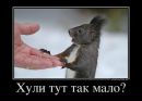 Сєрий Бобик фотография #39 (источник - https://vk.com/id151245464)